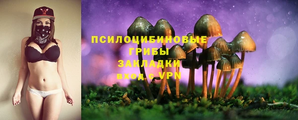 шишки Осинники