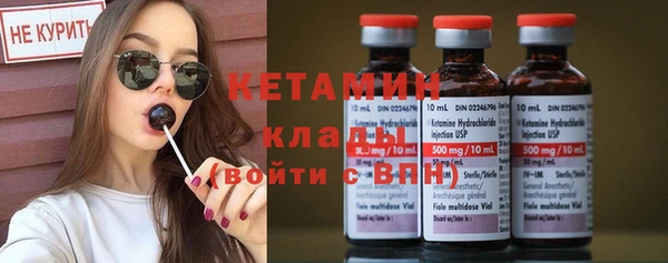 шишки Осинники