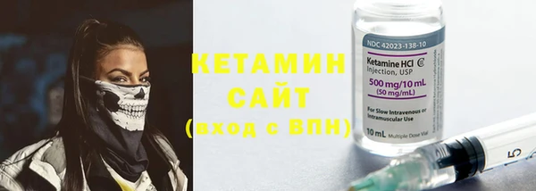 шишки Осинники