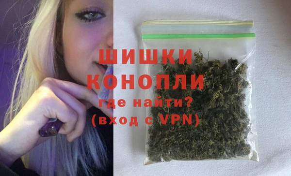 шишки Осинники