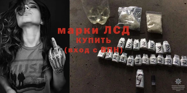 шишки Осинники