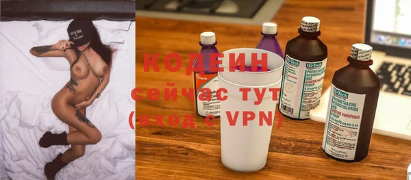 шишки Осинники