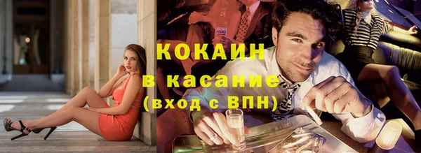 шишки Осинники