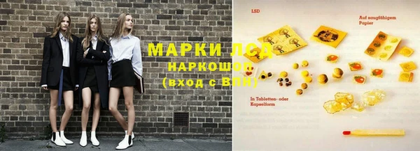 шишки Осинники