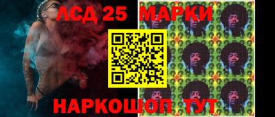 apvp Свободный