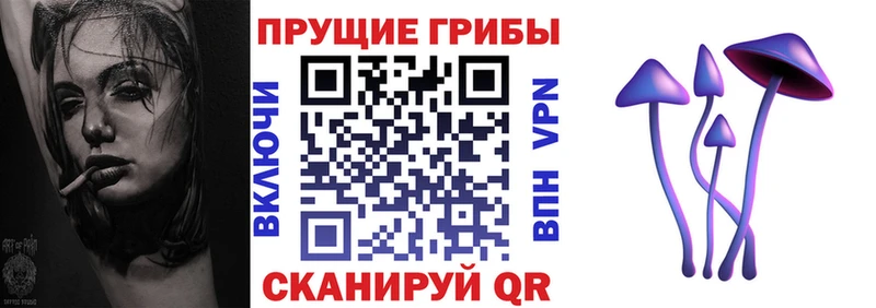 Псилоцибиновые грибы Cubensis  hydra   Сафоново 
